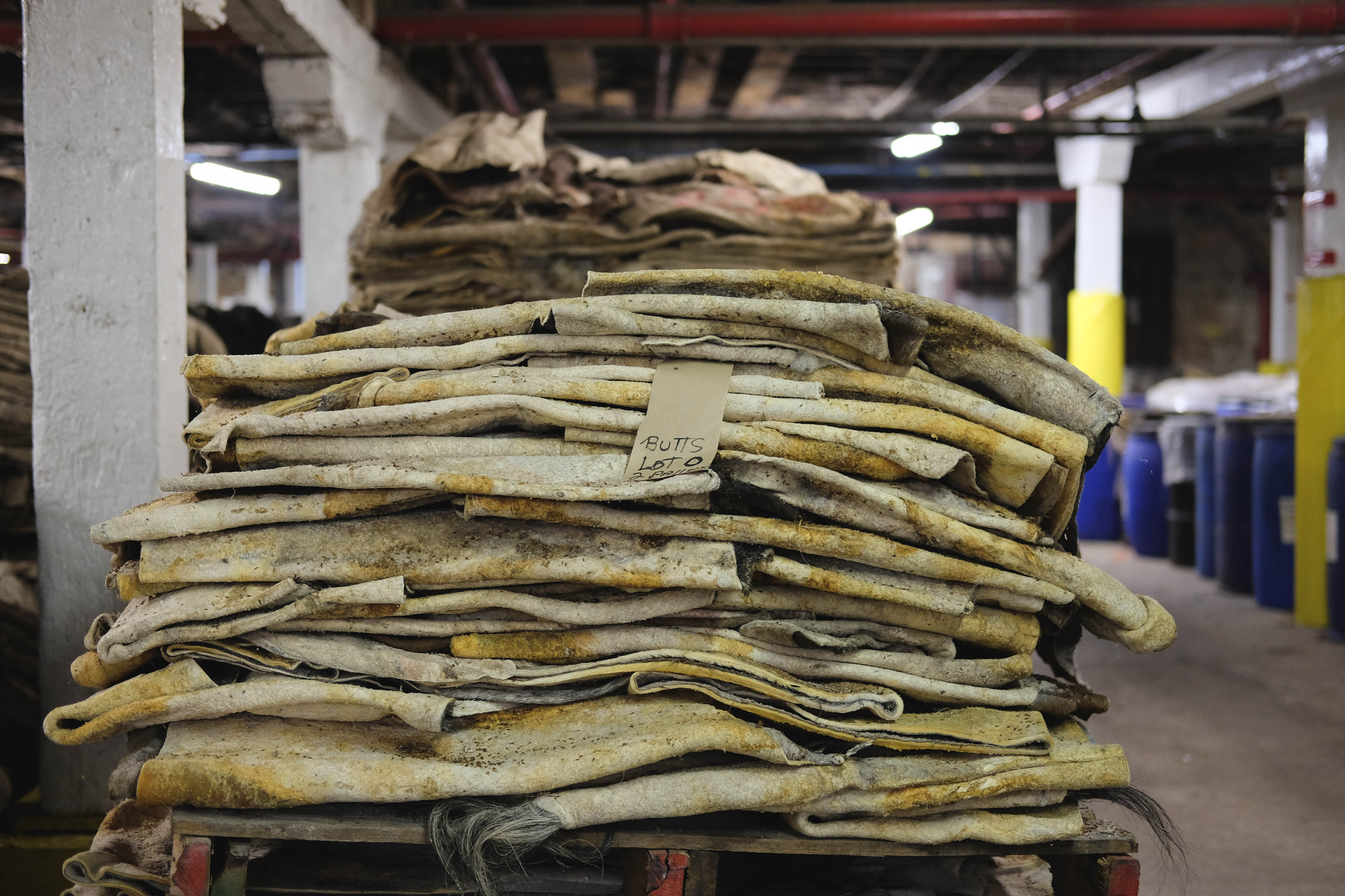 horween tannery visit tour