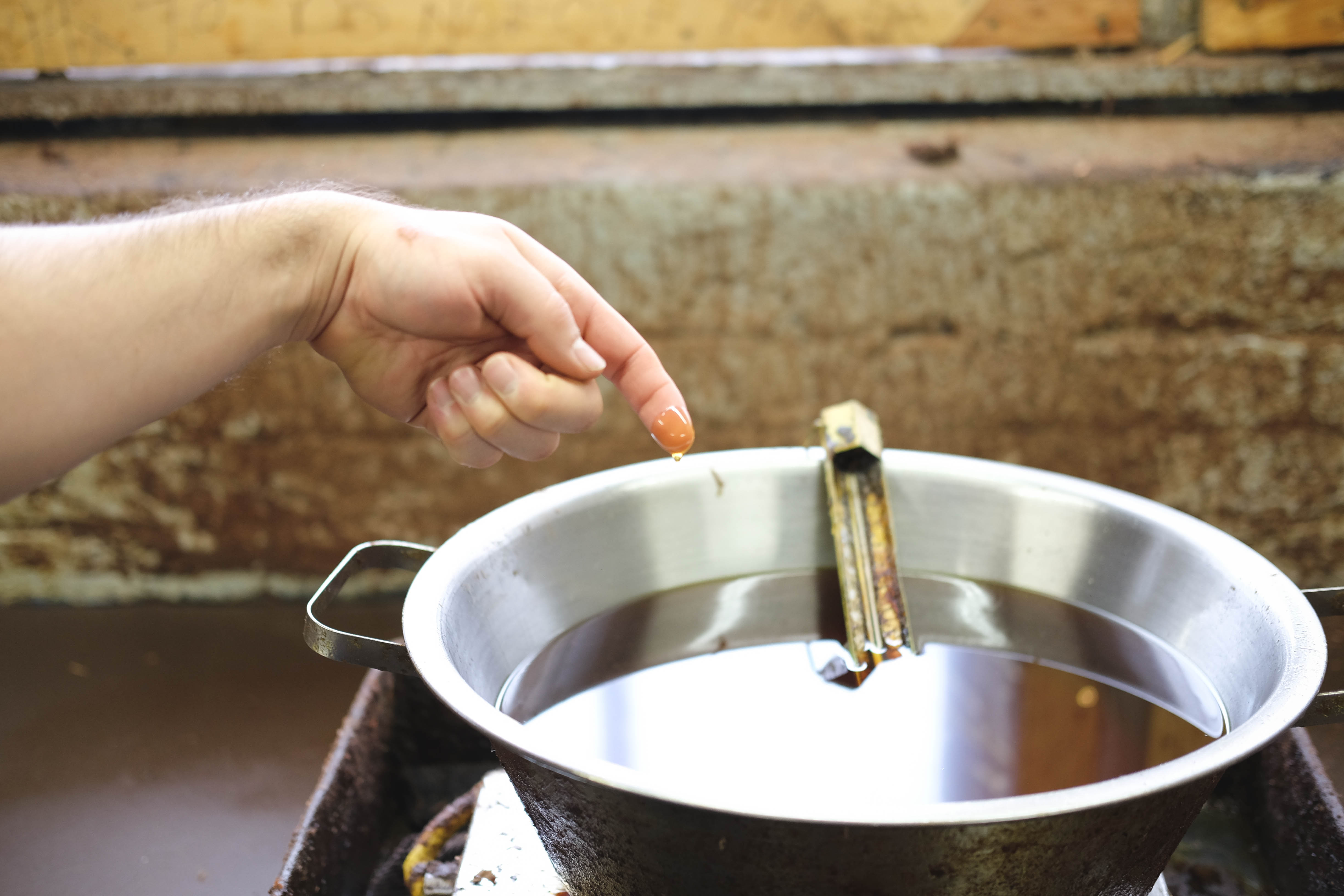 horween tannery visit tour